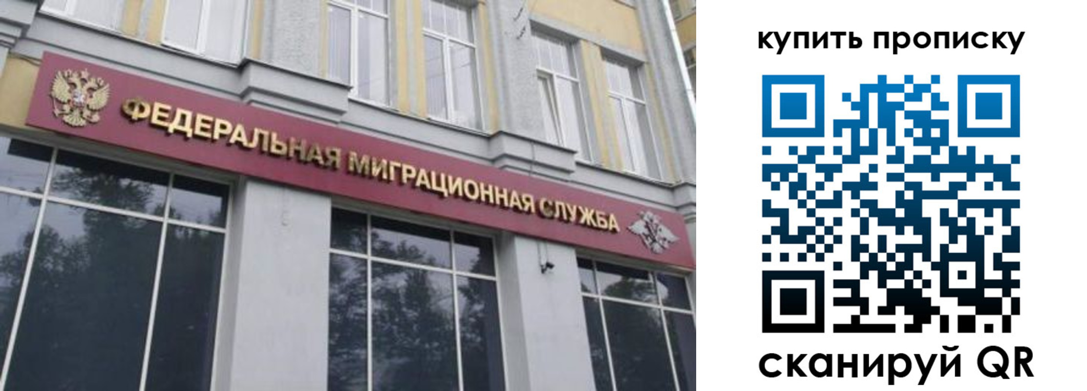 прописка поиск в Советской Гавани